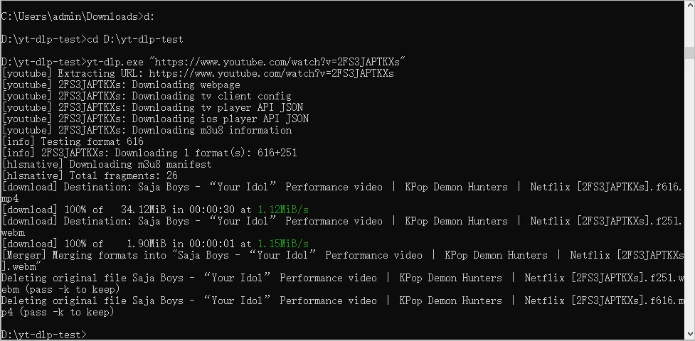 Download YouTube Video with yt-dl