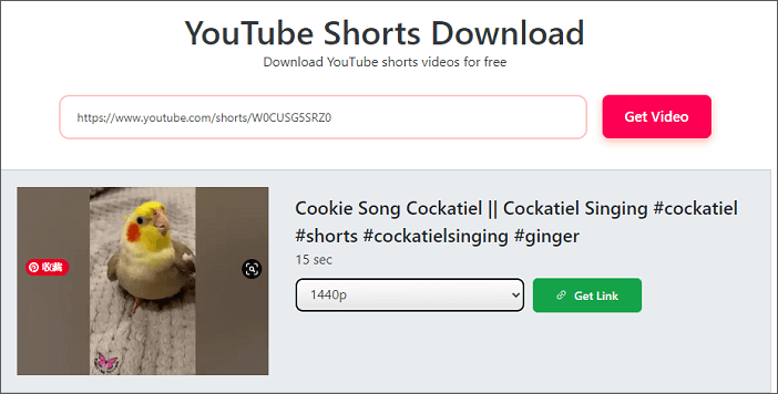 SaveTube YouTube Shorts Downloader and Converter