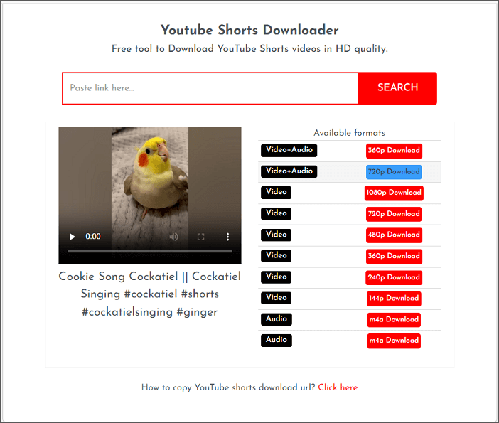 ShortsNoob Shorts Video Downloader