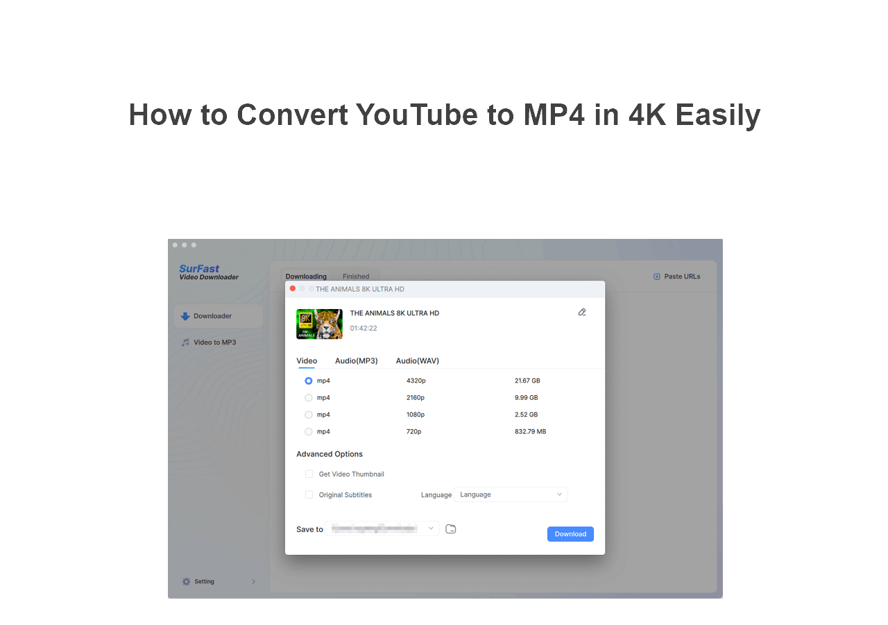 Convert YouTube to MP4 in 4K or Higher 2025