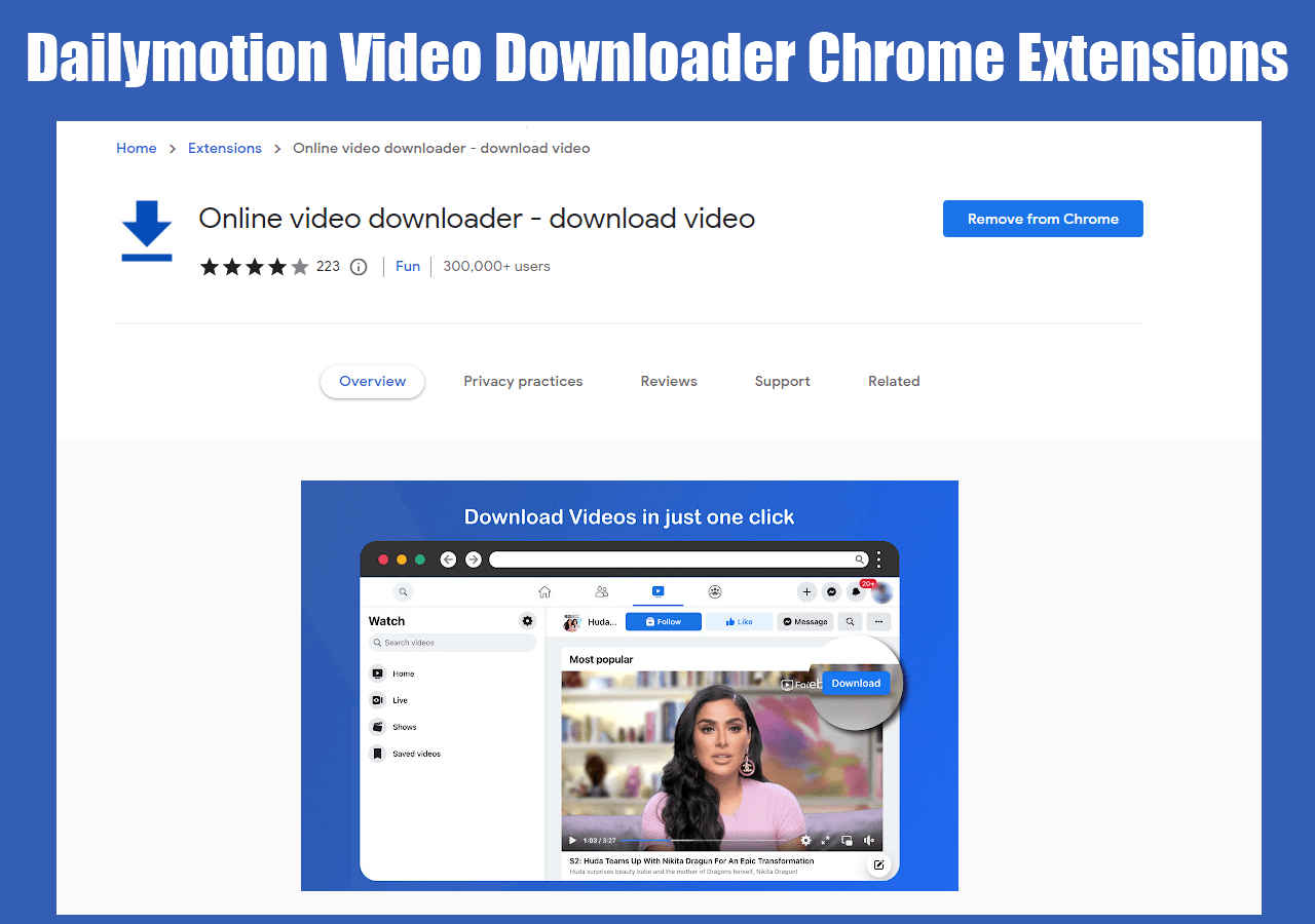 Dailymotion Video Downloader for Chrome 3 Top Tools