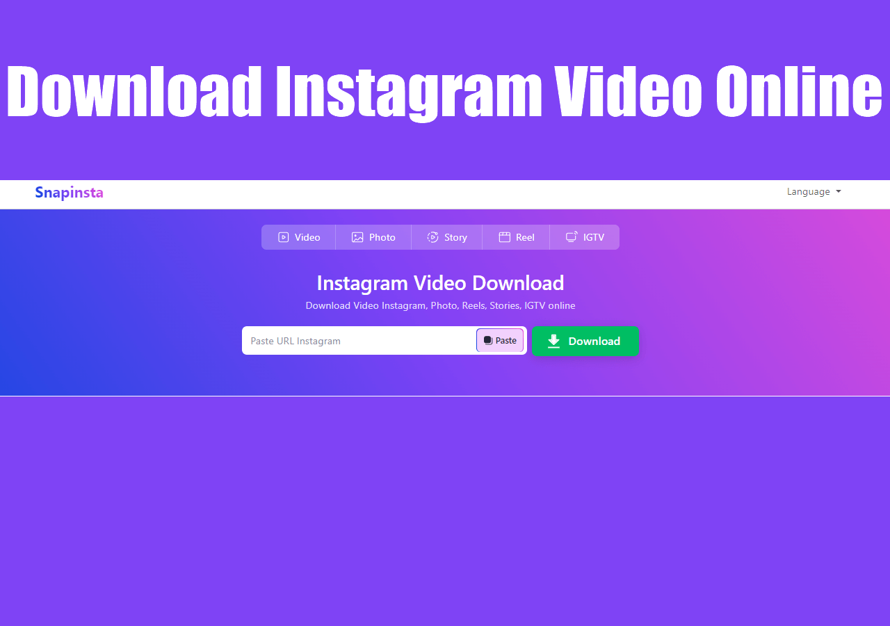 Instagram Video Download Online