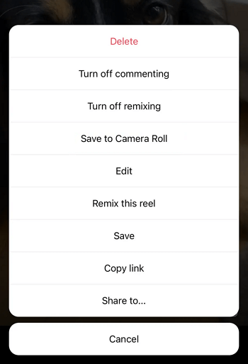 Save to Camera Roll Instagram