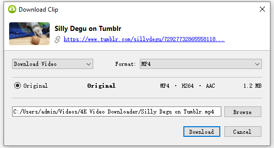 4K Video Downloader Download Tumblr Video