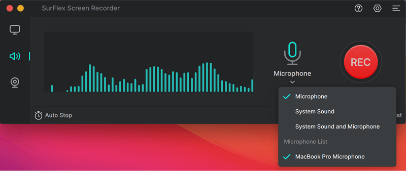 Select Audio Recording Type