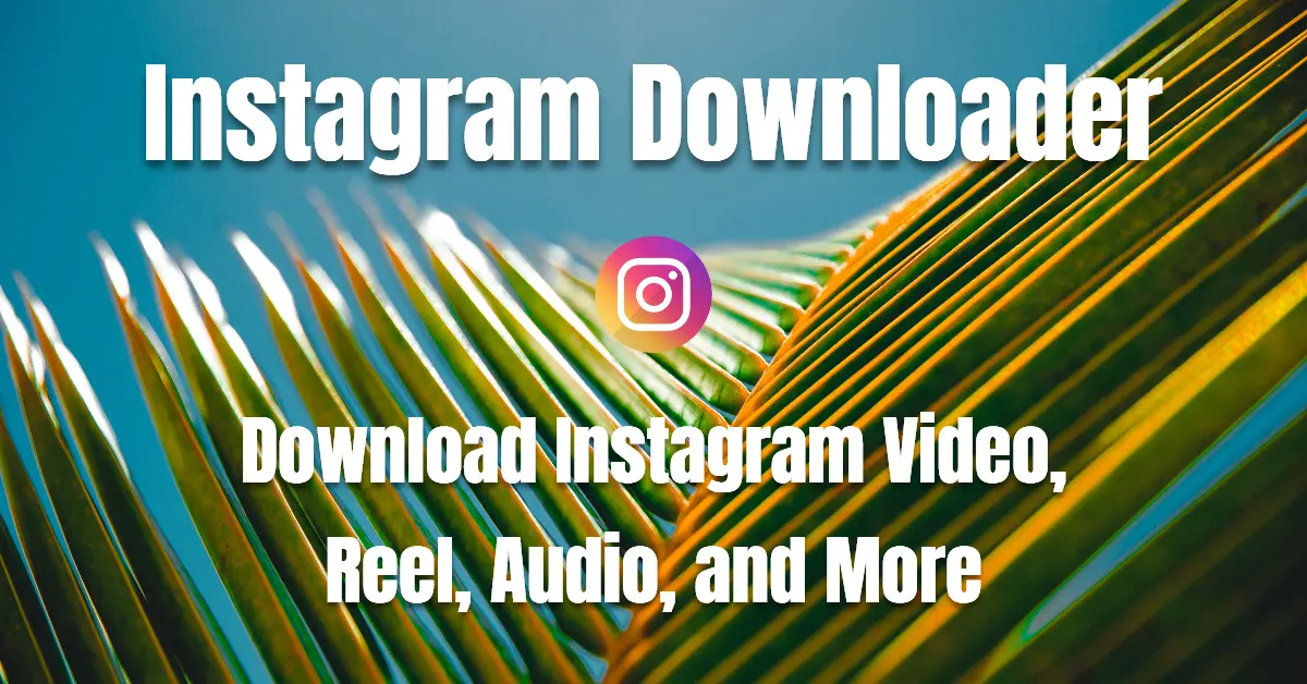 Instagram Downloader Download Instagram Video Reels Audio instagram-downloader-download-instagram-video-reels-audio