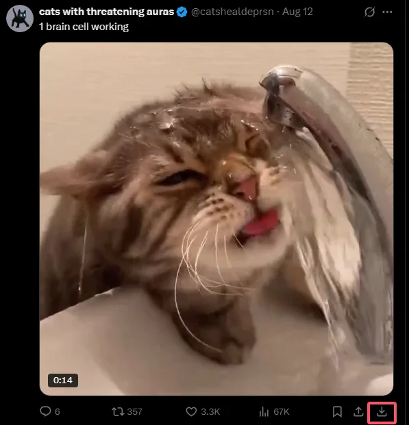 Media Harvest X Downloader