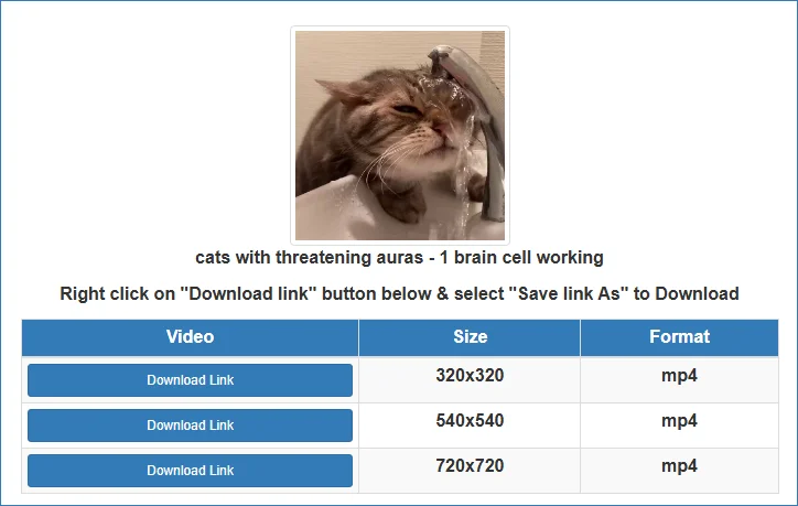 Twdownload online video downloader